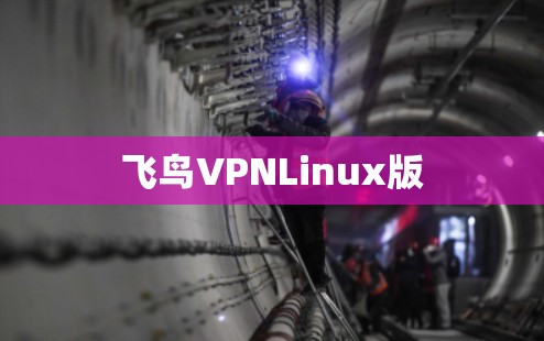 飞鸟VPNLinux版 飞鸟VPNLinux版