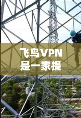 飞鸟VPN是一家提供全球范围内的VPN服务的公司。如果你需要访问全球网络,可以使用飞鸟VPN来实现。以下是关于飞鸟VPN的一些关键信息 飞鸟VPN是一家提供全球范围内的VPN服务的公司。如果你需要访问全球网络,可以使用飞鸟VPN来实现。以下是关于飞鸟VPN的一些关键信息