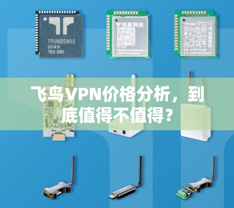 飞鸟VPN价格分析,到底值得不值得? 飞鸟VPN价格分析,到底值得不值得?