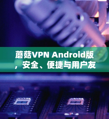 蘑菇VPN Android版,安全、便捷与用户友好 蘑菇VPN Android版,安全、便捷与用户友好