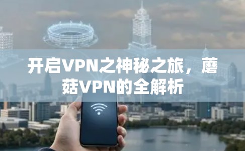 开启VPN之神秘之旅,蘑菇VPN的全解析 开启VPN之神秘之旅,蘑菇VPN的全解析