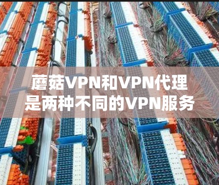 蘑菇VPN和VPN代理是两种不同的VPN服务,各有其独特的优势和适用场景。以下是对这两种服务的详细分析 蘑菇VPN和VPN代理是两种不同的VPN服务,各有其独特的优势和适用场景。以下是对这两种服务的详细分析