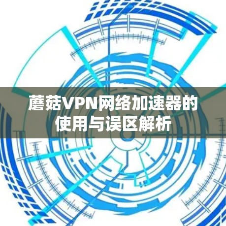 蘑菇VPN网络加速器的使用与误区解析