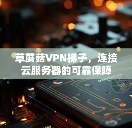 草蘑菇VPN梯子,连接云服务器的可靠保障 草蘑菇VPN梯子,连接云服务器的可靠保障