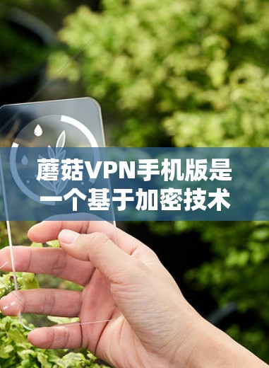 蘑菇VPN手机版是一个基于加密技术的VPN服务,旨在提供安全、高效的视频会议功能。以下是详细的使用步骤和注意事项 蘑菇VPN手机版是一个基于加密技术的VPN服务,旨在提供安全、高效的视频会议功能。以下是详细的使用步骤和注意事项