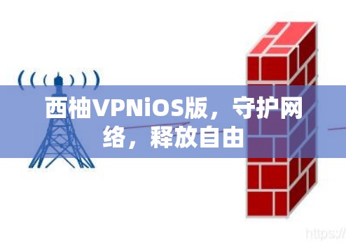 西柚VPNiOS版，守护网络，释放自由