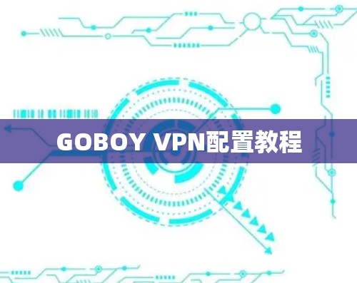 GOBOY VPN配置教程