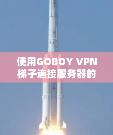 使用GOBOY VPN梯子连接服务器的步骤如下