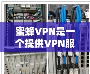 蜜蜂VPN是一个提供VPN服务的网站，它允许用户通过网络更好地访问互联网。以下是对蜜蜂VPN的详细介绍