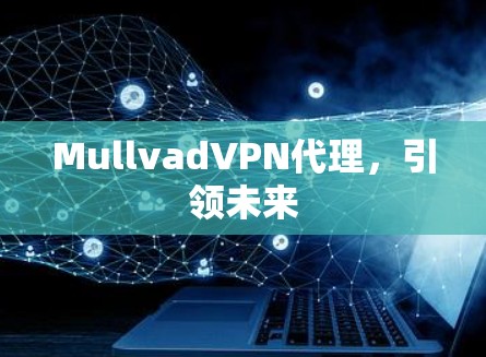 MullvadVPN代理，引领未来