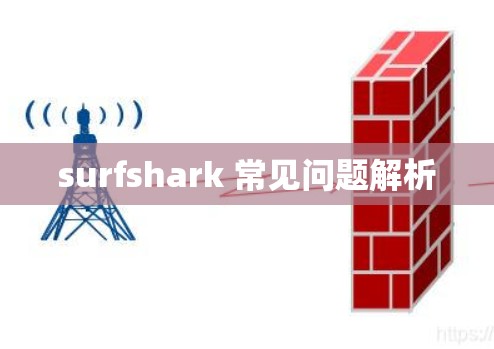 surfshark 常见问题解析