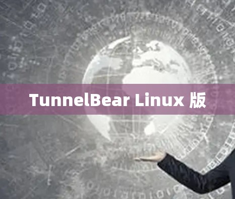 TunnelBear Linux 版