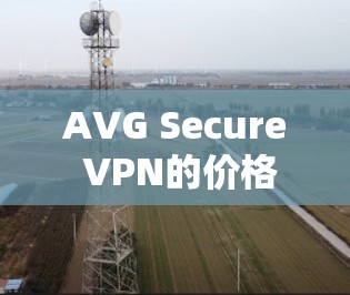 AVG Secure VPN的价格会因地区、服务类型和需求的不同而有所差异。以下是平均价格的一些参考范围