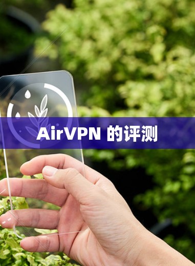 AirVPN 的评测