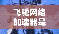 飞驰网络加速器是一个用于加速网络流量的工具，支持多种网络类型。为了测试其网络连接，可以按照以下步骤进行