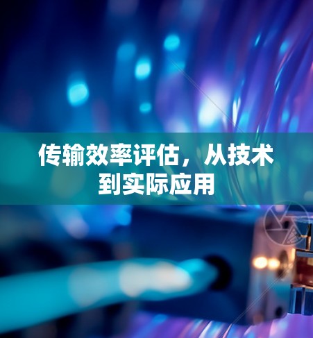 传输效率评估，从技术到实际应用