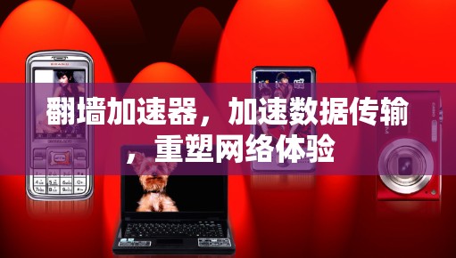 翻墙加速器,加速数据传输,重塑网络体验 翻墙加速器,加速数据传输,重塑网络体验