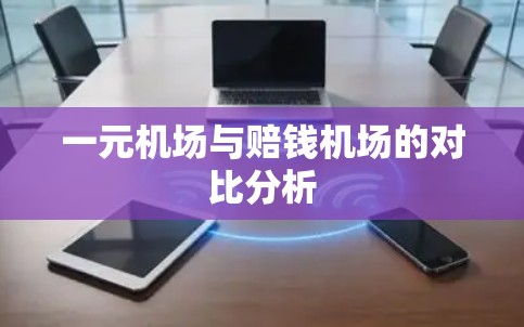 一元机场与赔钱机场的对比分析