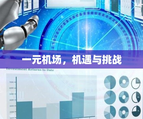 一元机场，机遇与挑战