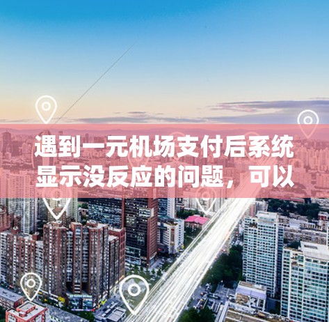 遇到一元机场支付后系统显示没反应的问题，可以按照以下步骤进行排查和解决