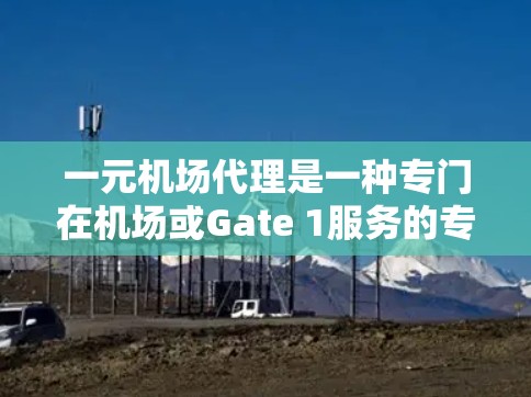 一元机场代理是一种专门在机场或Gate 1服务的专业人员，负责处理各种服务，如行李托运、买票、预订酒店等。以下是一元机场代理的使用指南