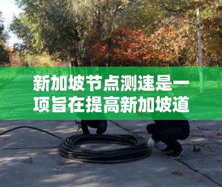 新加坡节点测速是一项旨在提高新加坡道路交通效率的措施，主要涉及测试车辆以确保在不同路况下安全运行。以下是关于新加坡节点测速的详细解释