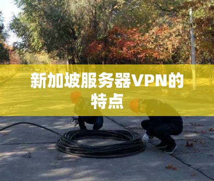 新加坡服务器VPN的特点