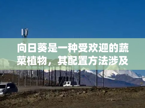 向日葵是一种受欢迎的蔬菜植物，其配置方法涉及多种因素，以确保其在不同环境中的健康和生长。以下是一个系统化的配置方法，涵盖主要的步骤
