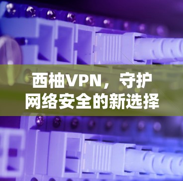 西柚VPN，守护网络安全的新选择