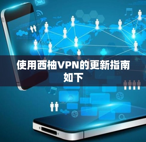 使用西柚VPN的更新指南如下