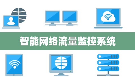智能网络流量监控系统