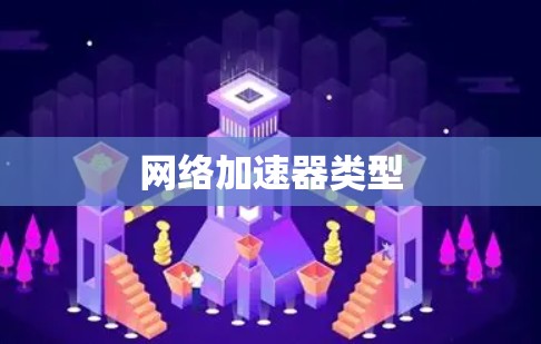 网络加速器类型