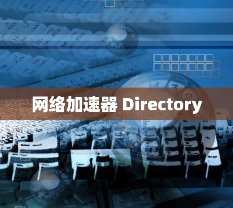 网络加速器 Directory
