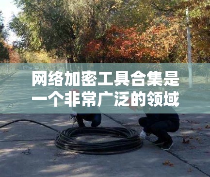 网络加密工具合集是一个非常广泛的领域,涵盖了多种加密技术、工具和平台。以下是一些常见的网络加密工具及其适用场景,供您参考 网络加密工具合集是一个非常广泛的领域,涵盖了多种加密技术、工具和平台。以下是一些常见的网络加密工具及其适用场景,供您参考