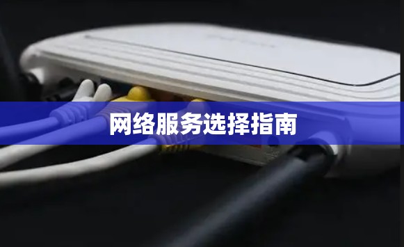 网络服务选择指南