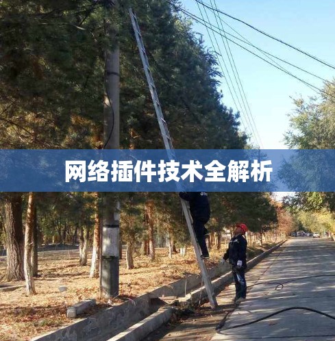 网络插件技术全解析