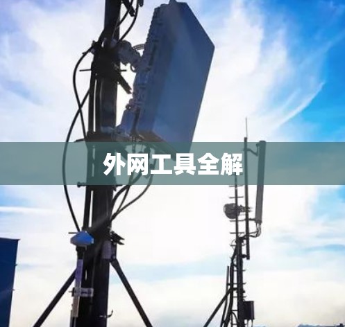 外网工具全解