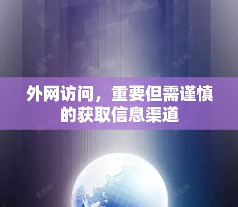 外网访问，重要但需谨慎的获取信息渠道