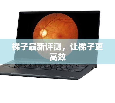 梯子最新评测，让梯子更高效