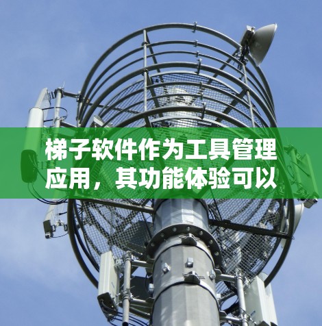 梯子软件作为工具管理应用，其功能体验可以从以下几个方面进行分析