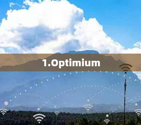 1.Optimium