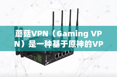 蘑菇VPN（Gaming VPN）是一种基于原神的VPN工具，用户可以在手机上通过原神的游戏服务器进行VPN连接。蘑菇VPN的加速体验主要取决于以下几个方面