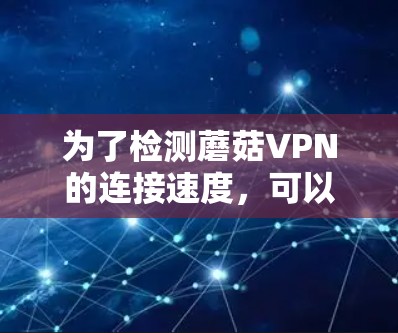 为了检测蘑菇VPN的连接速度，可以按照以下步骤进行