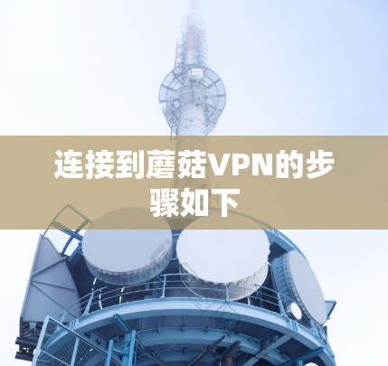 连接到蘑菇VPN的步骤如下