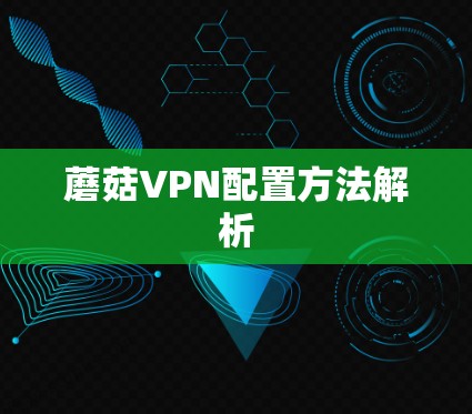 蘑菇VPN配置方法解析