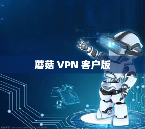 蘑菇 VPN 客户版