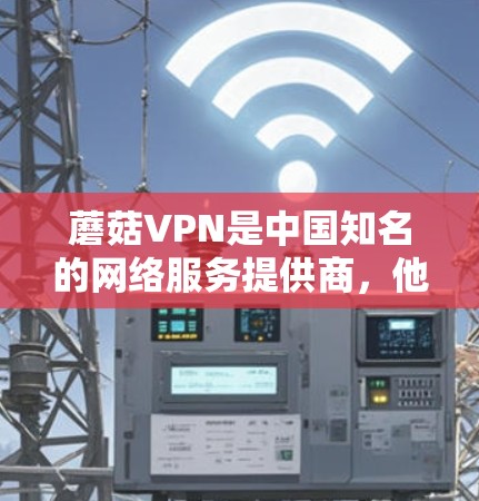 蘑菇VPN是中国知名的网络服务提供商，他们在多个机场提供VPN服务。以下是蘑菇VPN在主要机场的高速节点列表