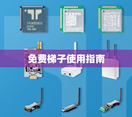 免费梯子使用指南
